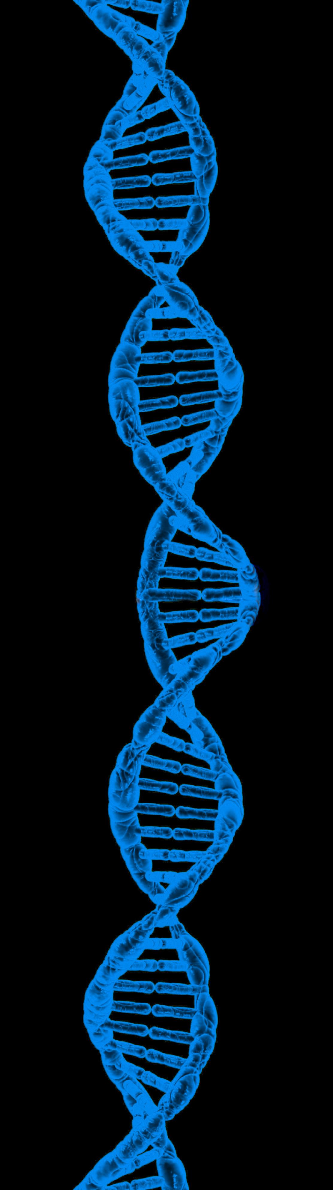 DNA double helix