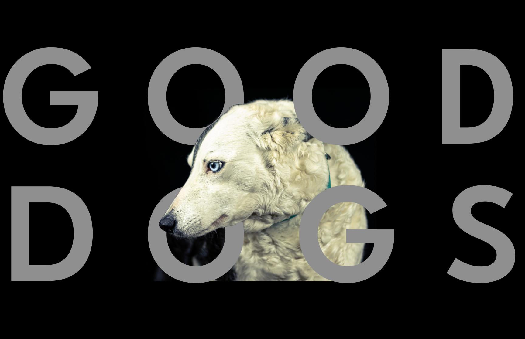 Good Dogs